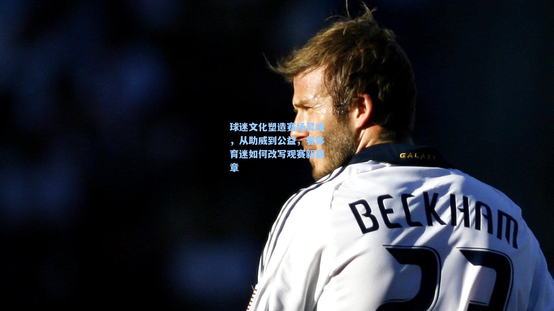 球迷文化塑造赛场灵魂，从助威到公益，看体育迷如何改写观赛新篇章