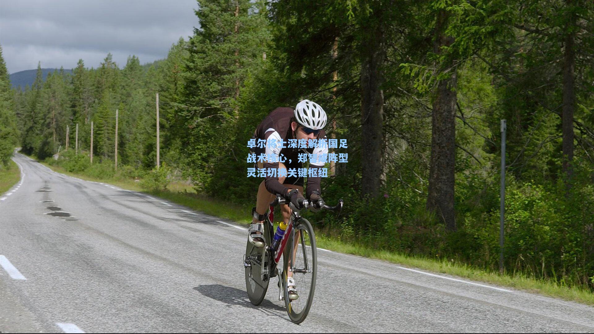 卓尔将士深度解析国足战术核心，郑智成阵型灵活切换关键枢纽