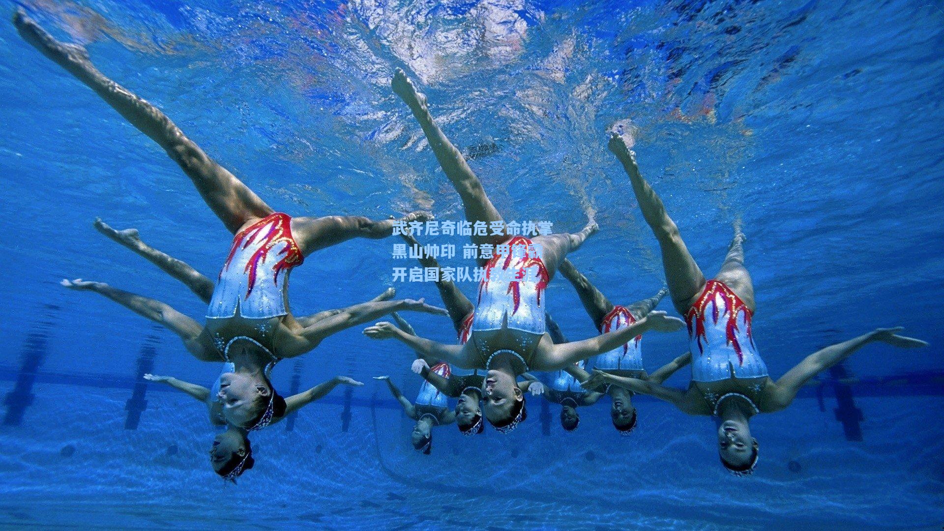 武齐尼奇临危受命执掌黑山帅印 前意甲锋霸开启国家队执教生涯